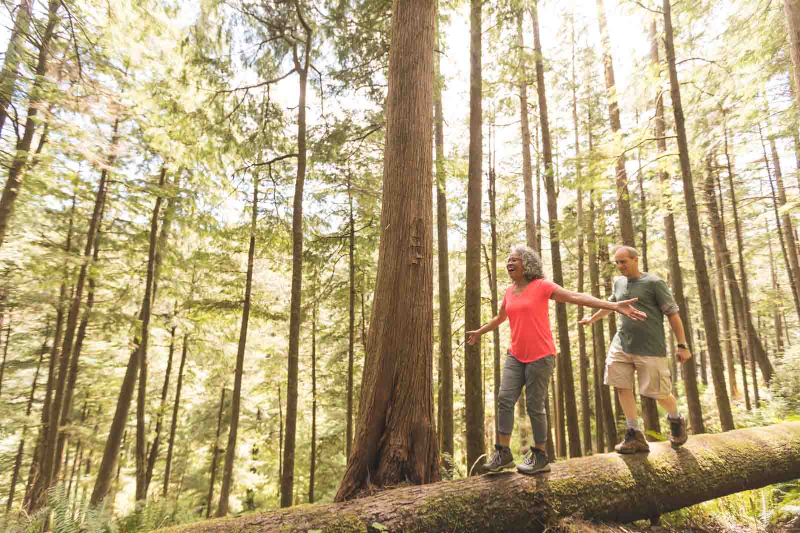 Ein Seniorenpaar balanciert auf einem Baumstamm im Wald