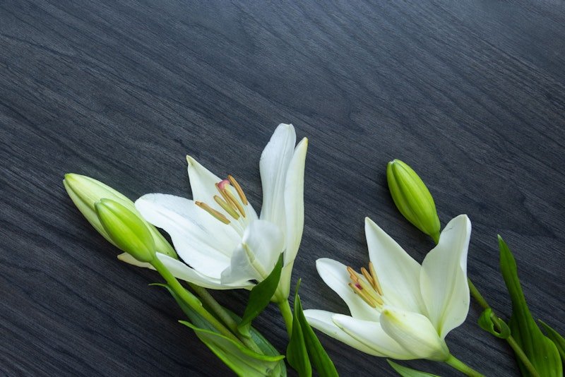 Weisse Lilien stehen für Reinheit sowie Wiedergeburt und sind ein häufiges Motiv auf Trauerkarten.
