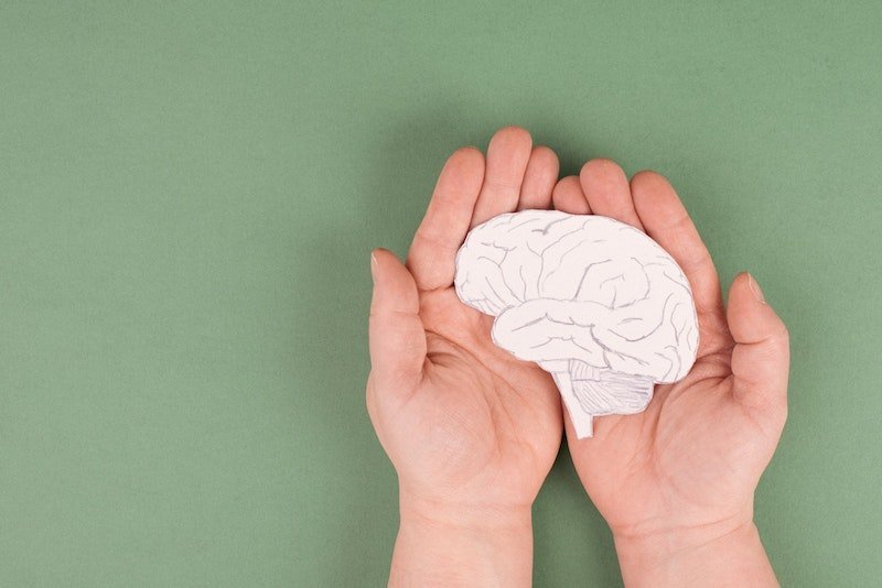 Auf dem Bild sind zwei Hände zu sehen, wie sie eine Zeichnung eines menschlichen Gehirns halten.