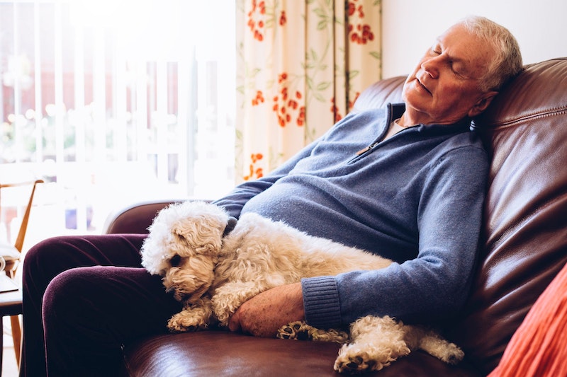 Ein Vitamin-B12-Mangel kann Senioren müde machen. 