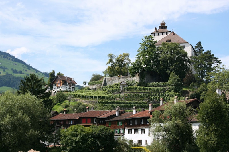 Das Bild zeigt Werdenberg und das Schloss. 